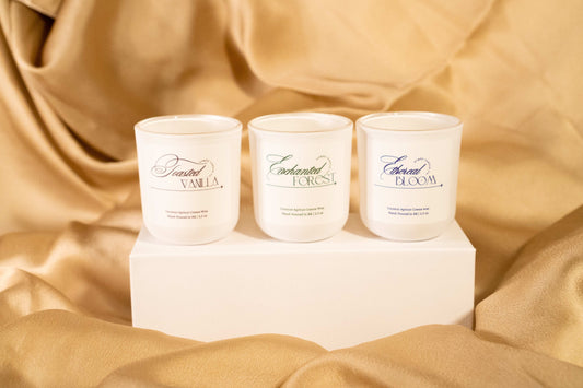 Discovery Set [2.5oz]